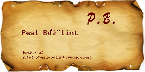 Pesl Bálint névjegykártya
